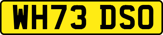 WH73DSO
