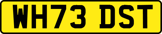 WH73DST