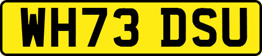 WH73DSU