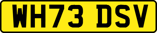 WH73DSV