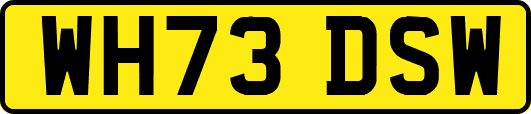 WH73DSW