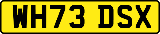 WH73DSX