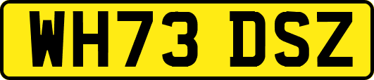 WH73DSZ