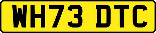 WH73DTC