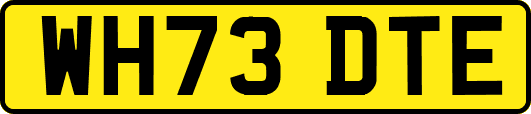WH73DTE