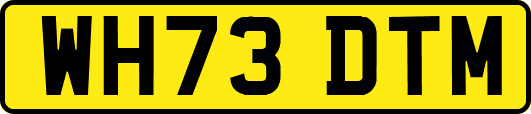 WH73DTM