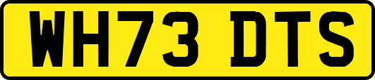 WH73DTS