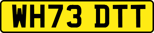 WH73DTT