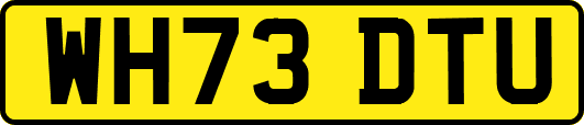 WH73DTU