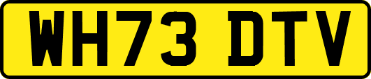 WH73DTV