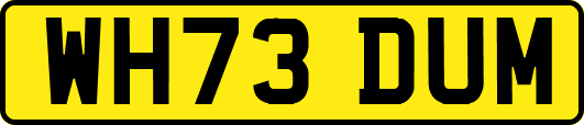 WH73DUM