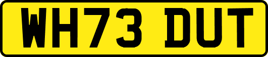 WH73DUT