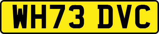 WH73DVC