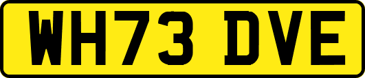 WH73DVE