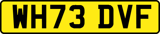 WH73DVF
