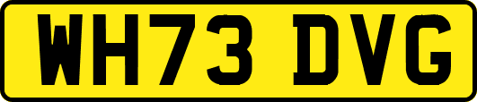 WH73DVG