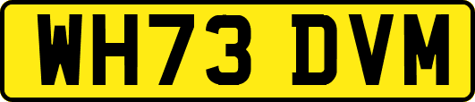 WH73DVM