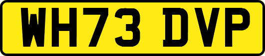 WH73DVP