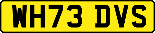 WH73DVS