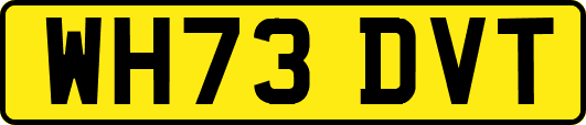 WH73DVT