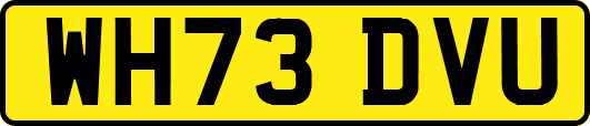 WH73DVU