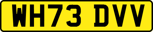 WH73DVV