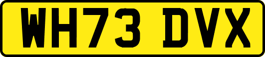 WH73DVX
