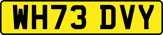 WH73DVY