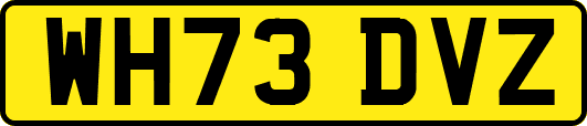 WH73DVZ