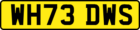 WH73DWS