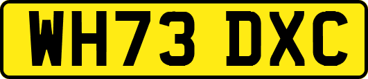 WH73DXC