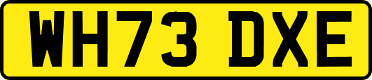 WH73DXE
