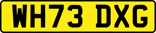 WH73DXG