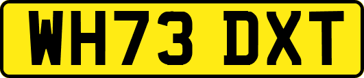 WH73DXT