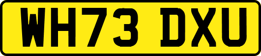WH73DXU