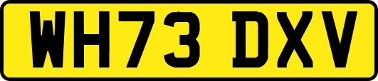 WH73DXV