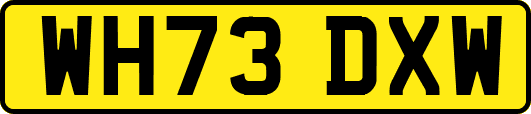 WH73DXW