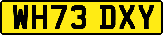 WH73DXY