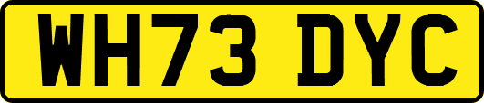 WH73DYC