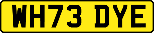 WH73DYE