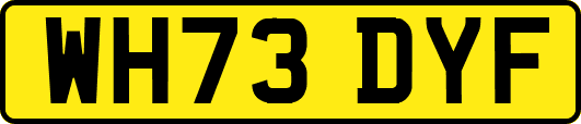 WH73DYF