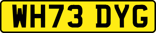 WH73DYG