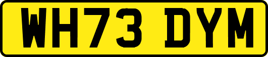 WH73DYM