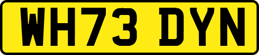 WH73DYN