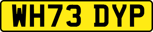 WH73DYP