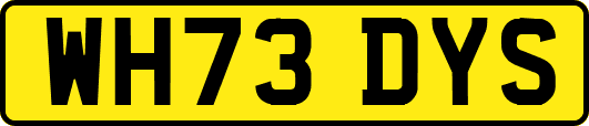 WH73DYS