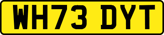 WH73DYT