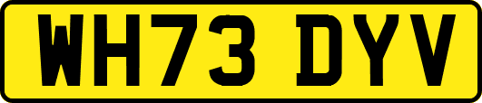 WH73DYV