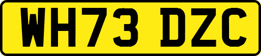 WH73DZC