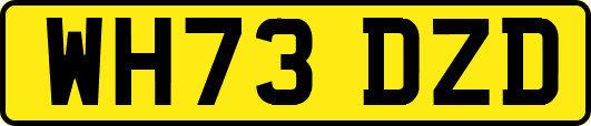 WH73DZD